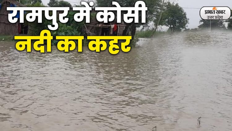UP Flood: रामपुर में कोसी नदी का जल स्तर बढ़ने से मंडराया खतरा