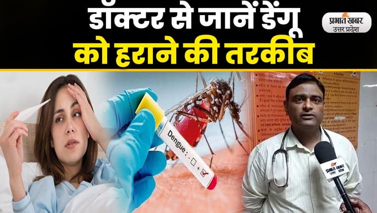 Dengue Fever : जीवनशैली में छोटे - छोटे बदलाव से डेंगू मच्छर को दें मात