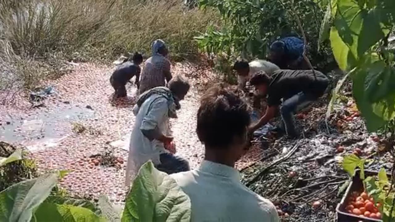 मुजफ्फरपुर में इंसानियत शर्मशार, दुर्घटना के बाद सड़क पर पड़ा रहा शव, लोग लूटते रहे टमाटर