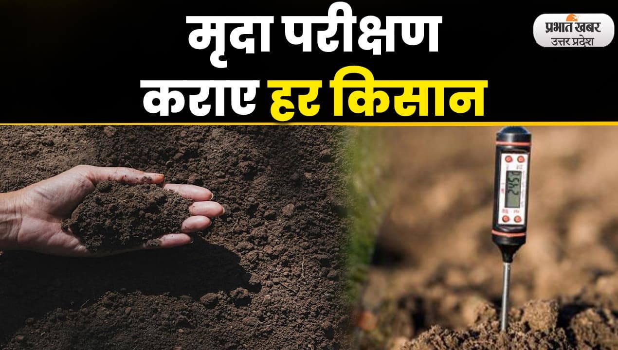 Aligarh News : आधी लागत में ऐसे करें किसान दोगुनी पैदावार