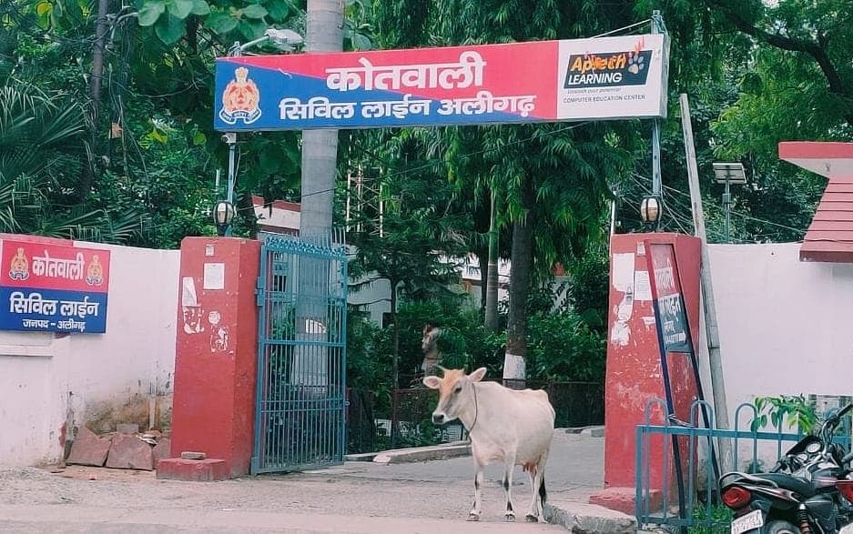 Aligarh News: कुत्ते के साथ हैवानियत, दंपति ने पहले पीटा, फिर बोरे में बंदकर कूड़े में फेंका, मुकदमा दर्ज