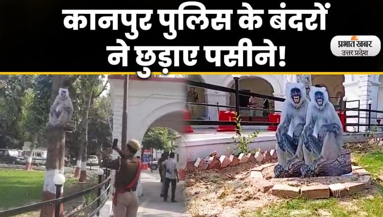 Kanpur News: बंदरों से परेशान पुलिस ने लगाए लंगूरों के कटआउट