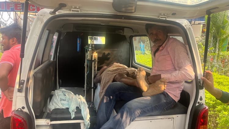 ‍Bihar: जमुई में खलिहान गए बुजुर्ग पर टूटा मधुमक्खियों का झुंड, इलाज के दौरान हुई मौत