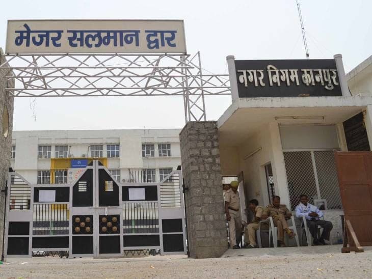 कानपुर में पहली बार तीन बिल्लियों का हुआ रजिस्ट्रेशन, गोलू-खुशी और पिंकी का नाम नगर निगम के रिकॉर्ड में दर्ज
