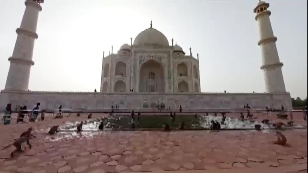 Agra News: ताजमहल में पर्यटकों को बंदरों से मिलेगी निजात, जल्द पकड़ कर की जाएगी नसबंदी