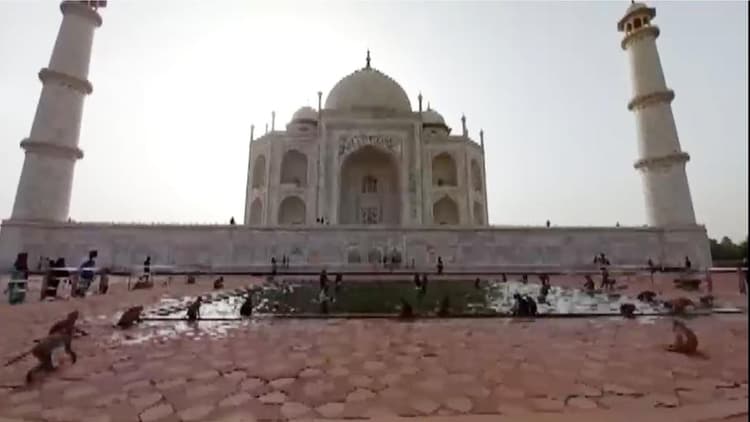 Agra News: ताजमहल में पर्यटकों को बंदरों से मिलेगी निजात, जल्द पकड़ कर की जाएगी नसबंदी
