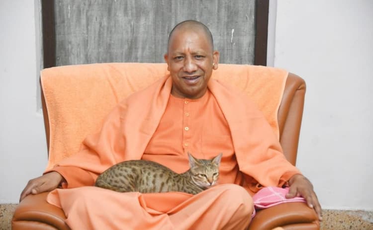 Gorakhpur News: सीएम योगी की गोद में शांत बैठी बिल्ली, सोशल मीडिया पर खूब हो रही प्रशंसा