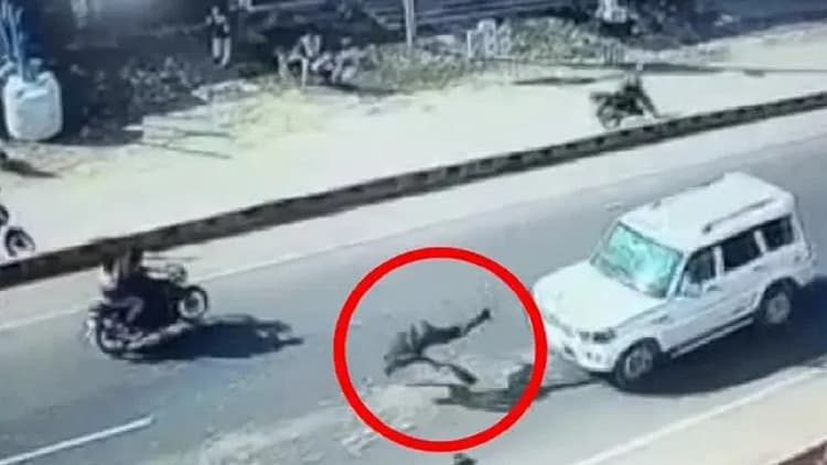 Bihar: फोन पर बात करते हुए जा रहा था युवक, स्कॉर्पियो ने मारी टक्कर तो 20 फीट दूर गिरा, Video Viral