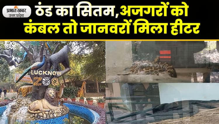 Lucknow zoo : सर्दी से पहले जानवरों को  बचाने की ऐसे की गई है तैयारी, शेर - चीता और चिड़िया के लिए खास इंतजाम
