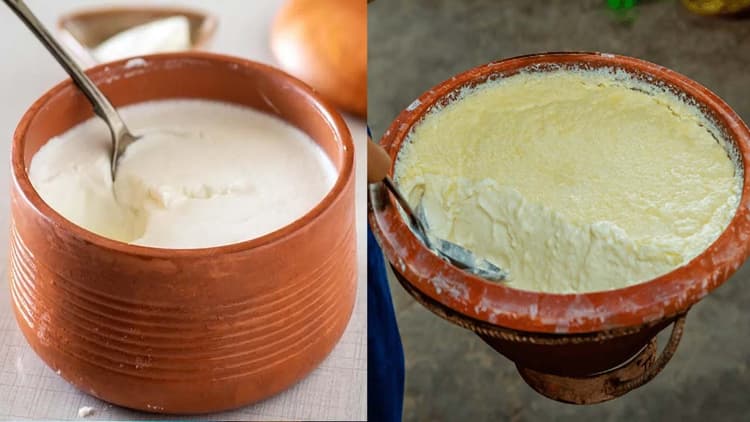 Makar Sankranti: आज पटना के लोग खा जाएंगे 25 लाख किलो से अधिक दही, स्नान-दान करने के लिए दिन भर रहेगा पुण्यकाल