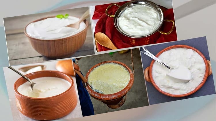 Makar Sankranti: मकर संक्रांति पर शहर में लगेगा दही का मेला, राजेंद्र स्टेडियम में होगी पतंगबाजी