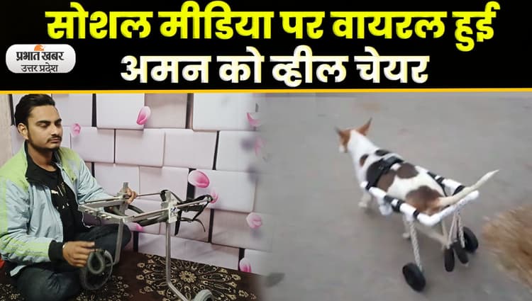 Agra News : अमन की तकनीक से दिव्यांग जानवरों को मिले पैर