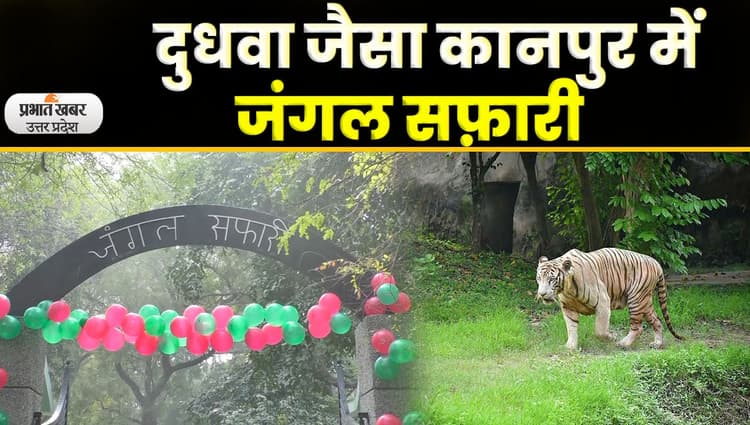 Kanpur : चिड़ियाघर में लें जंगल सफारी का मजा, पर्यटकों के लिए नया अड्डा