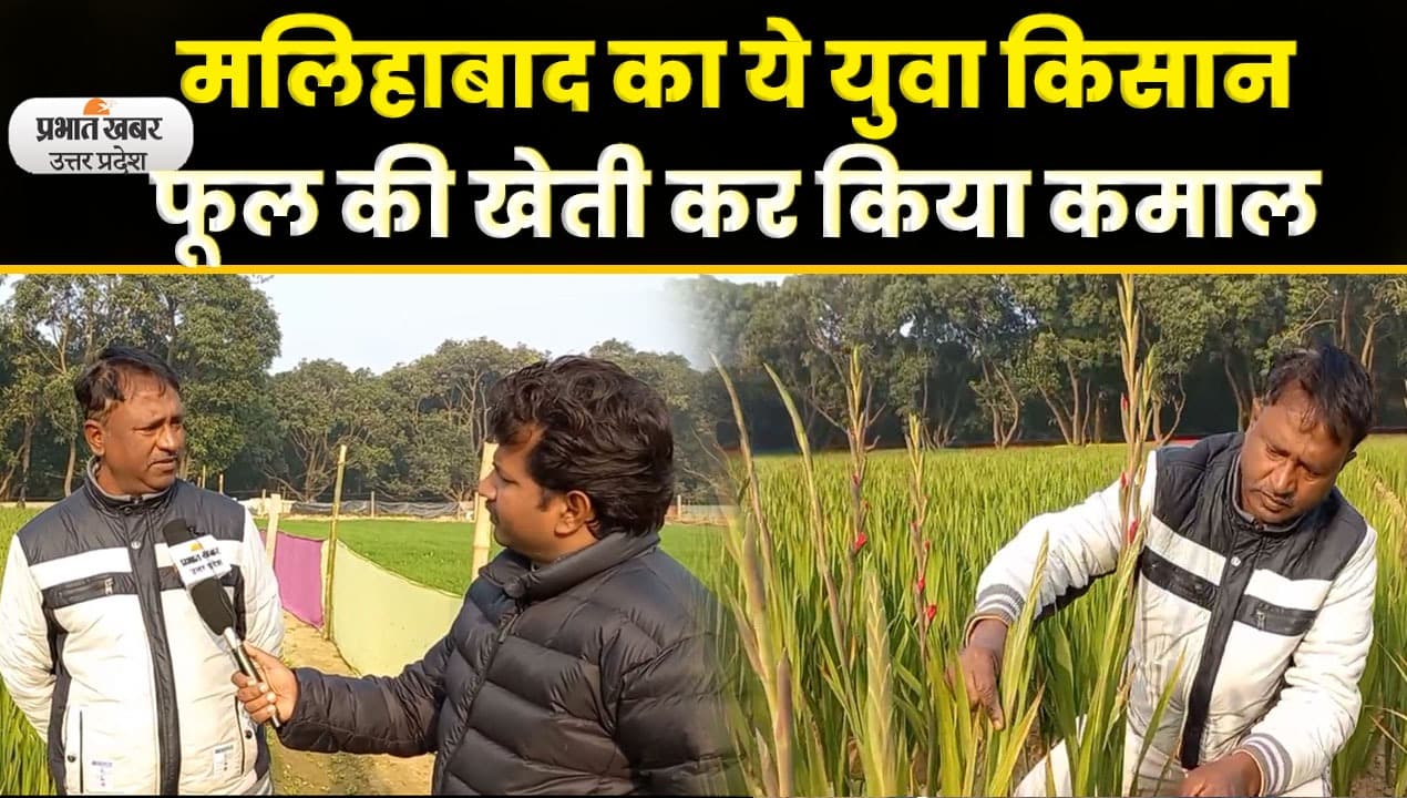 Agriculture News: परंपरागत खेती छोड़, कैश क्रॉप से कमा रहे लाखों