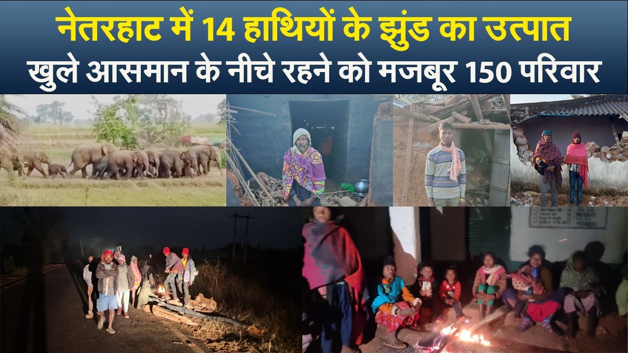 Video : नेतरहाट में  हाथियों का उत्पात, खुले आसमान के नीचे रहने को मजबूर 150 परिवार