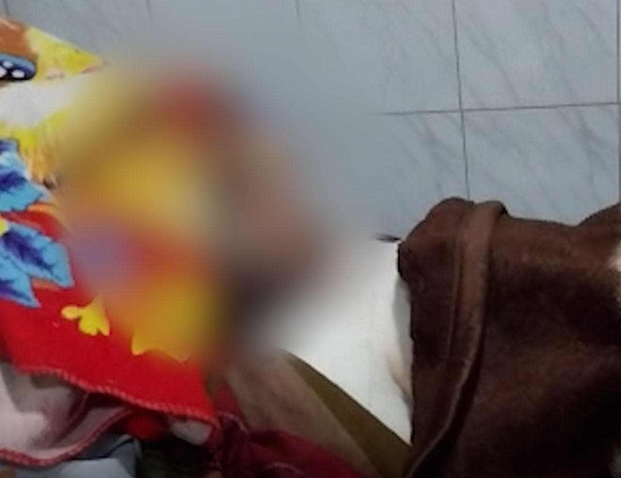 Kanpur Crime: धर्म परिवर्तन से इनकार पर किशोरी को जिंदा जलाने का मामला, हालत बिगड़ने पर लखनऊ में KGMU रेफर...