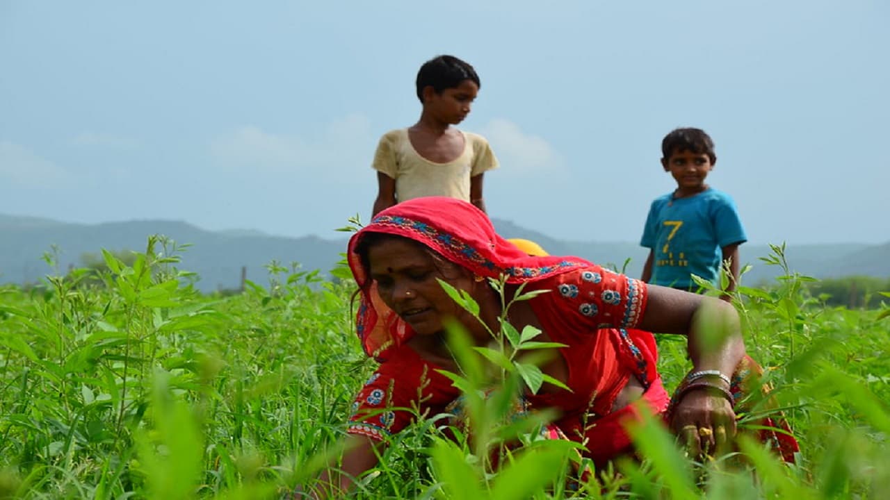 बिहार में महिला किसानों के लिए बड़ी घोषणा, शहद, मशरूम व अंडा खरीदेगी सरकार, डेयरी समिति का होगा गठन