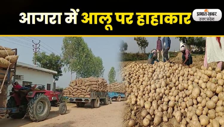 Agra News: आलू का लागत से कम मूल्य मिलने पर किसान परेशान, सरकार से मदद की गुहार