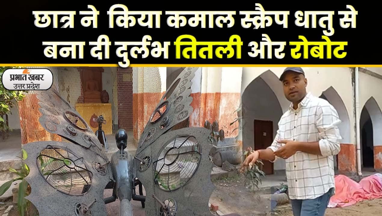 Scrap Metal Art: छात्र ने स्क्रैप धातु से बनाई दुर्लभ प्रजाति की तितली और रोबोट की कलाकृति