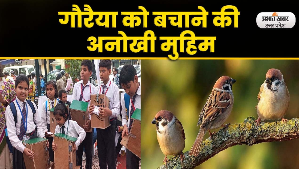 World Sparrow Day: विश्व गौरैया सप्ताह दिवस की शुरूआत, बच्चों को घोसला देकर किया गया जागरूक