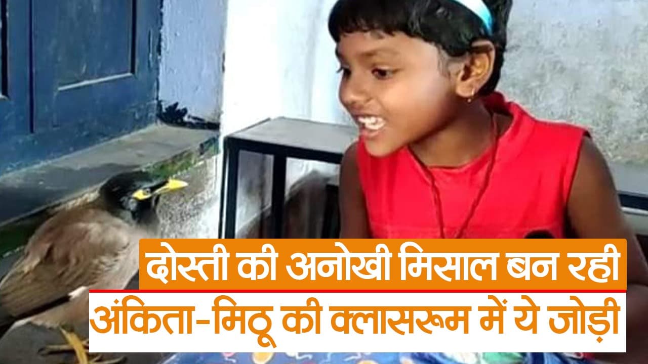 Video : दोस्ती की अनोखी मिसाल बन रही अंकिता-मिठू की क्लासरूम में ये जोड़ी