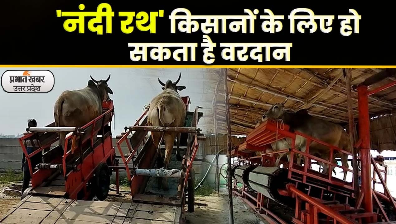 Nandi Rath: बिजली-डीजल के बिना 'नंदी रथ' कर रहा कमाल, किसानों के लिए हो सकता है वरदान