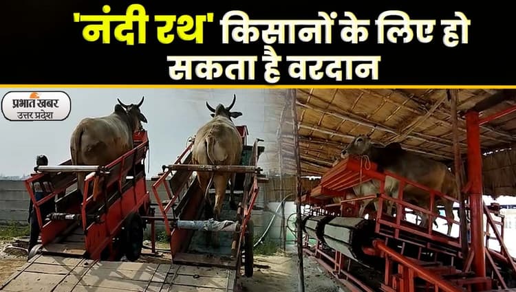 Nandi Rath: बिजली-डीजल के बिना 'नंदी रथ' कर रहा कमाल, किसानों के लिए हो सकता है वरदान