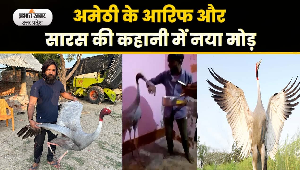 Arif ka Saras: पक्षी विहार से उड़ा सारस, अब सियासी डाल पर, video