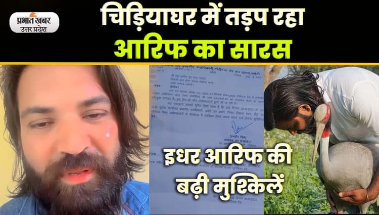 Amethi Arif ka Saras: आरिफ को महंगी पड़ी सारस से दोस्ती, बड़ी कार्रवाई की तैयारी
