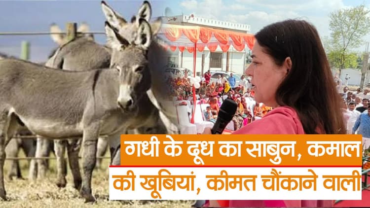 Sultanpur News: औरत के शरीर को सुंदर रखता है गधी के दूध का साबुन. बोली भाजपा सांसद मेनका गांधी