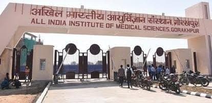 UP News : गोरखपुर एम्स को मिले 35 चिकित्सक शिक्षक, 17 पदों के लिए जल्दी होगा साक्षात्कार , नाेटिफिकेशन जारी