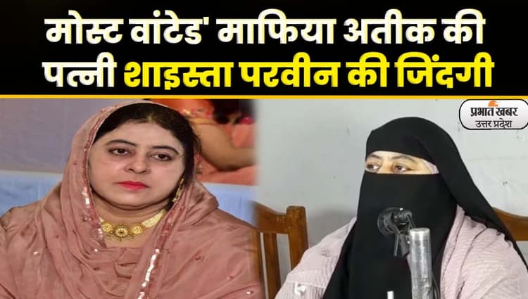 UP की 'लेडी डॉन' शाइस्ता परवीन की तलाश तेज, अब इनाम राशि बढ़ाकर 1 लाख करने की तैयारी