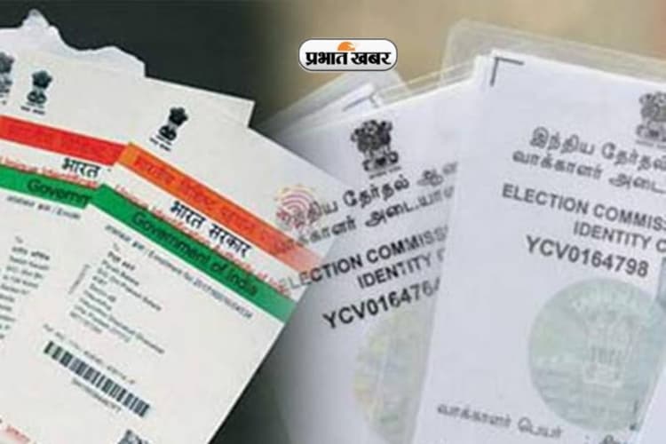 यूपी निकाय चुनाव: Voter ID नहीं है, तो इस तरह से डाल सकते हैं वोट, जानें प्रक्रिया...