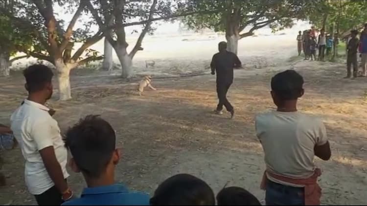 गंदा काम करने के बाद विधवा की हत्या, खूंटे से बंधी भैंस ने जानिए कैसे खोले राज...