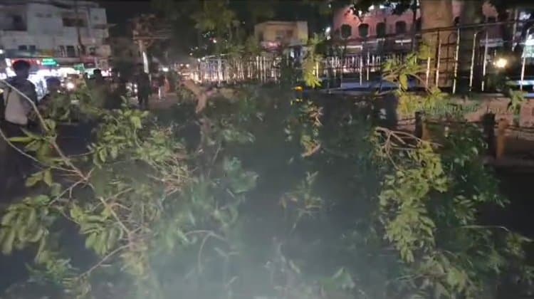 UP News : मौसम ने एक बार फिर करवट ली, आगरा में शाम को धूल भरी आंधी ने कई जगह किया नुकसान, हल्की बूंदाबांदी