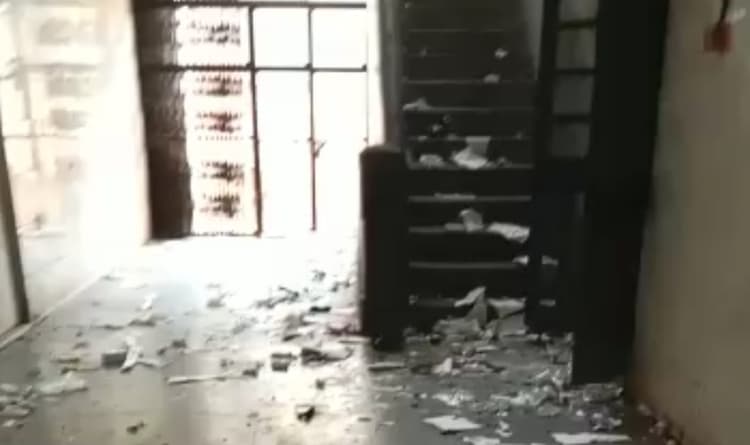 एसएन मेडिकल कॉलेज के कैंसर विभाग में बंदरों ने मचाया उत्पात, दवाइयां तोड़ीं, पर्चे भी फाड़े , जांच के आदेश