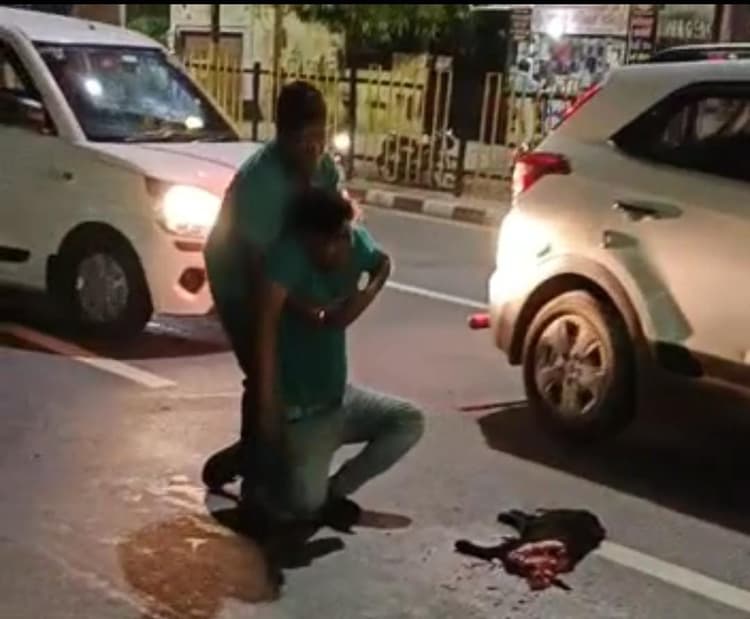 स्कूटी से कूदा डॉग ट्रक की चपेट में आया, मालिक हाईवे पर ही दहाड़ मार-मारकर रोने लगा, वीडियो हुआ वायरल