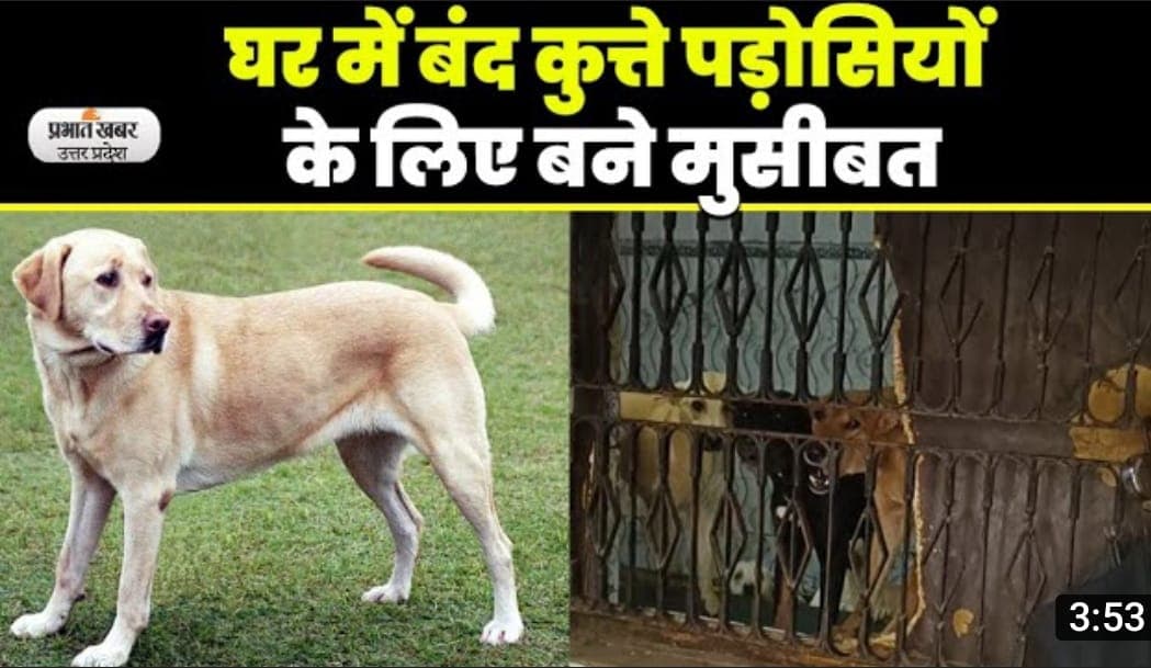 Agra Dog Lover: यह कैसा पशु प्रेम, बिना मालिक के घर में कैद रहते हैं कुत्ते