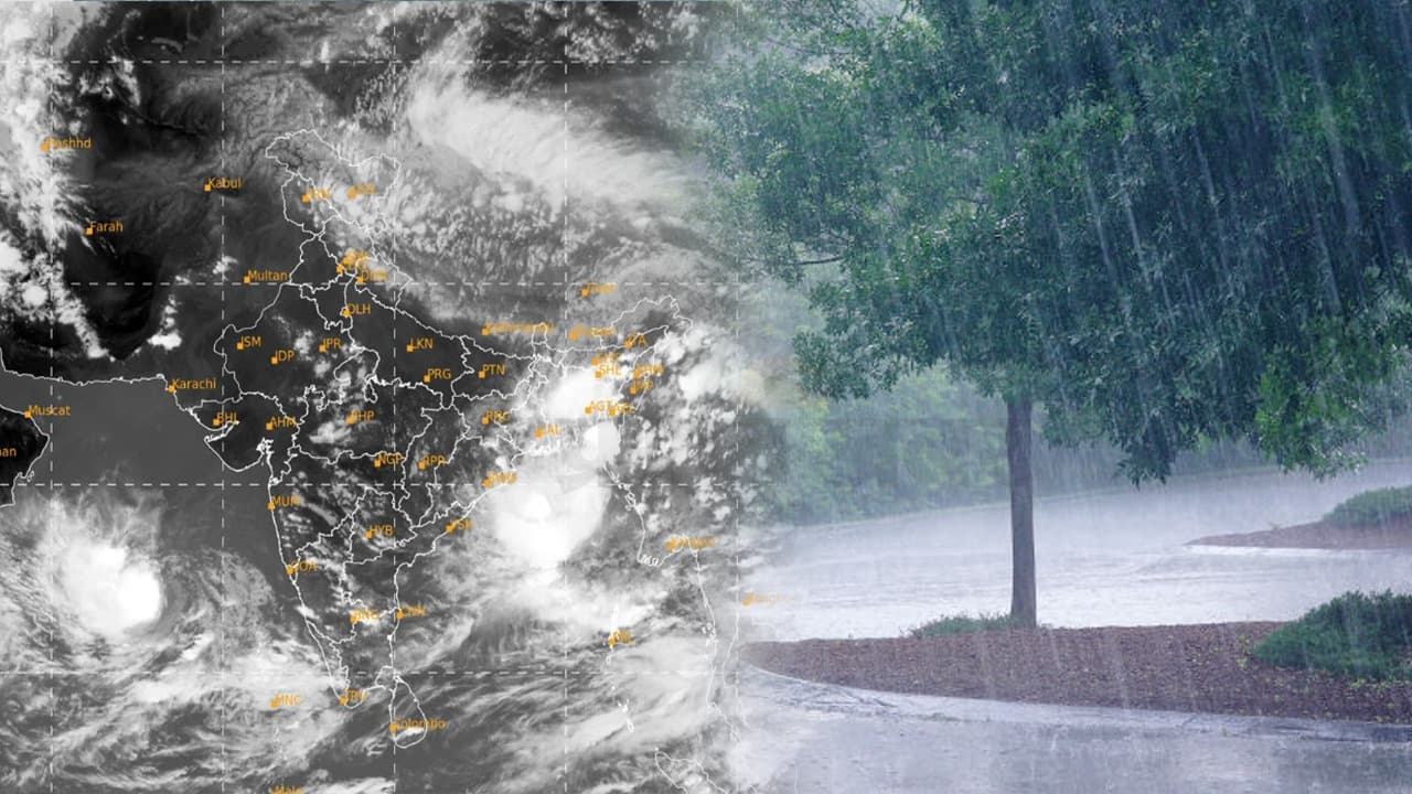 Monsoon In Bihar: आंधी-पानी के साथ सीतामढ़ी पहुंचा मॉनसून, खिले किसानों के चेहरे