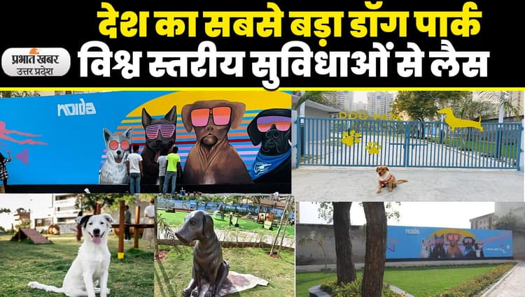 Noida Dog Park: नोएडा में खुला देश का सबसे बड़ा डॉग पार्क, क्लीनिक, पूल सहित मिलेंगी कई सुविधाएं