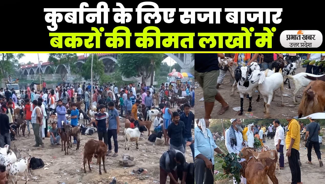 Bakra Eid 2023: लखनऊ के बाजारों में बकरीद की रौनक, बकरा मंडी में खरीदारों की भीड़