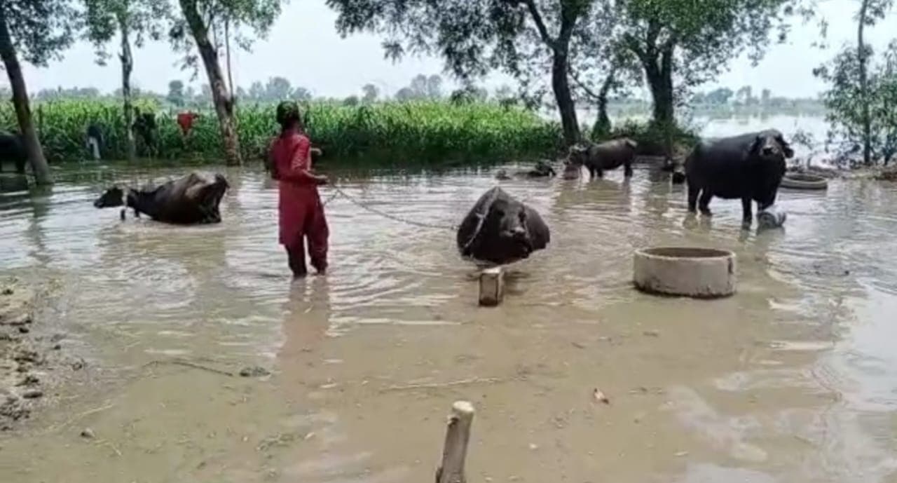 UP Weather : बारिश से तीन दिनों में 42 लोगों की मौत,  डूबने से 14 की जान गई