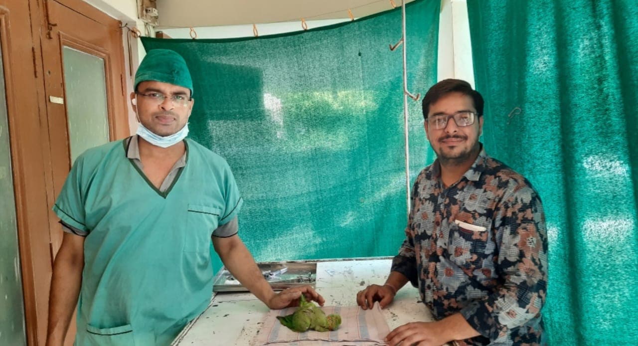 अलीगढ़: पंखे से कटी तोते की चोंच को दो घंटे सर्जरी कर जोड़ा गया, मिठ्ठू को मिला नया जीवन