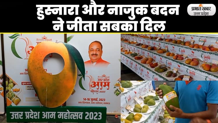 Lucknow Mango Festival: महोत्सव में रंग बिरंगे आम की खूबियां जाने को बेकरार दिखे लोग