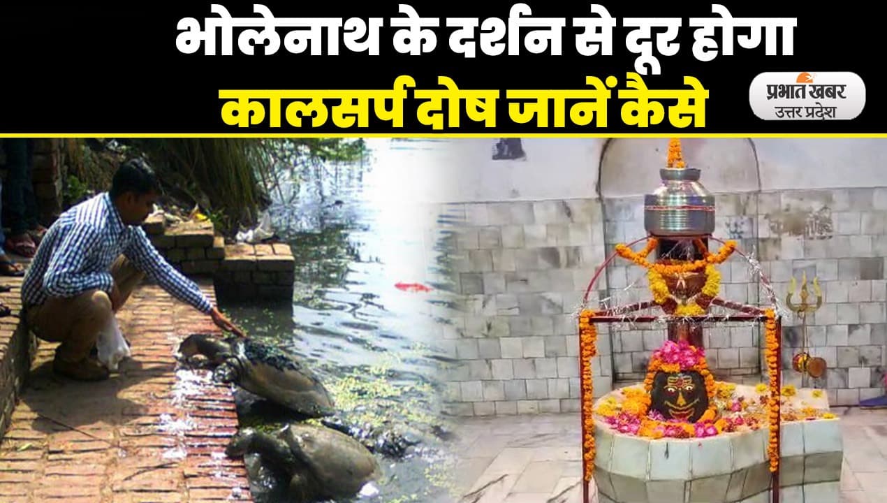 Sawan 2023: इस शिव मंदिर में दर्शन करने से नागेश्वर महादेव धाम से मिलती है मुक्ति