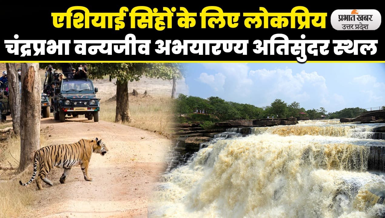 UP: चंद्रप्रभा वन्यजीव अभयारण्य में प्राकृति  और वन्य जीवों के बीच बिताए छुट्टियां