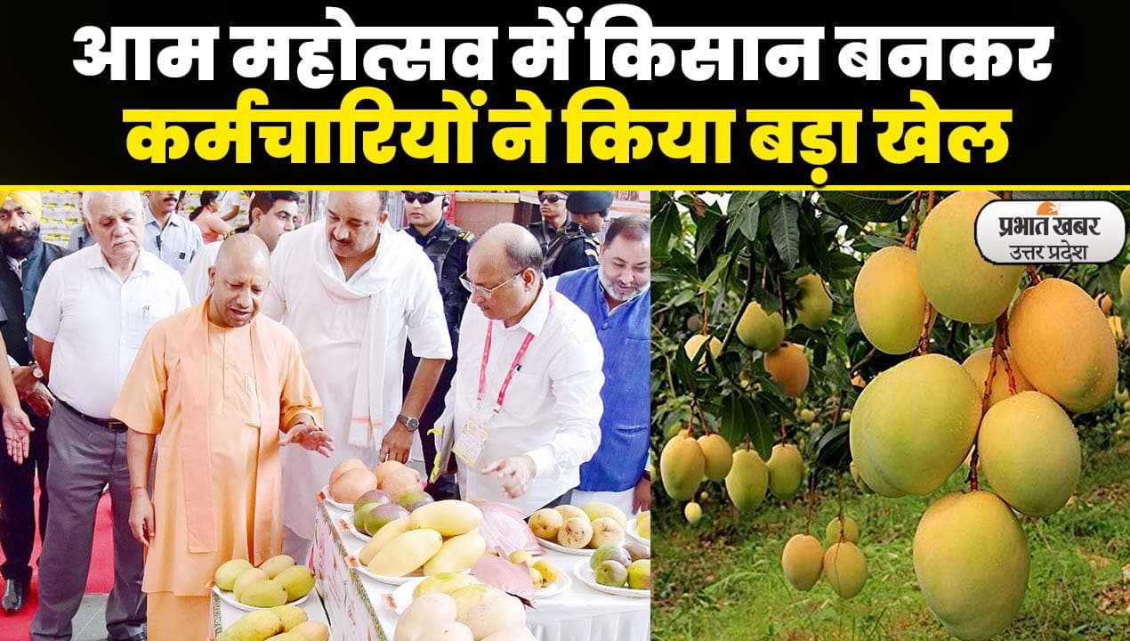 Mango Festival 2023:  लखनऊ आम महोत्सव में उद्यान कर्मचारियों ने किसान बनकर किया बड़ा खेल