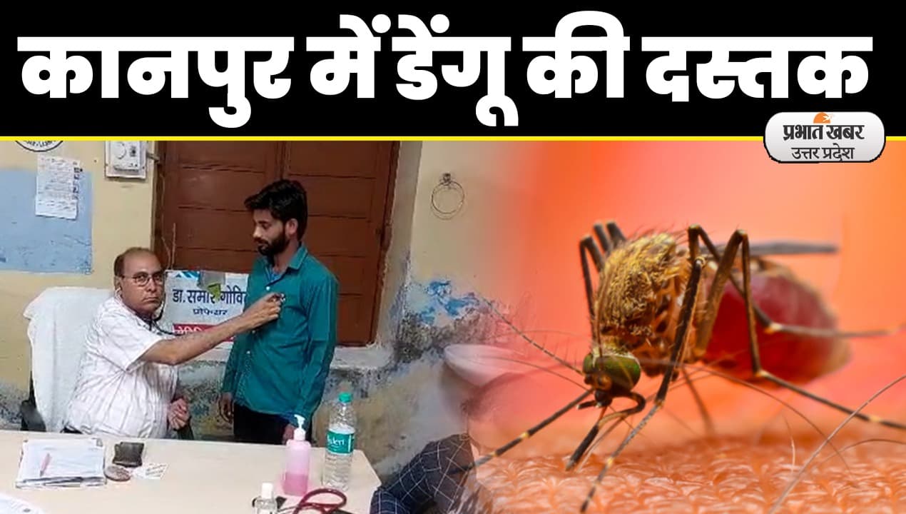 Kanpur Dengue Fever News: उमसभरी गर्मी और बारिश के बीच डेंगू की दस्तक