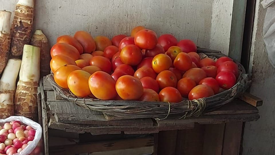 अलीगढ़: रसोई का बजट न बिगड़े इसलिए ग्राहक 250 ग्राम ही खरीद रहे टमाटर, बोले- सरकार का महंगाई पर नियंत्रण नहीं