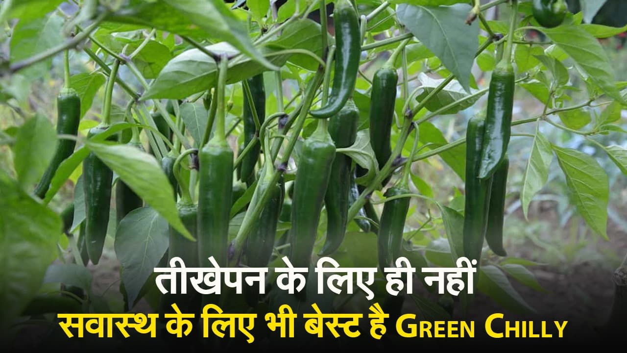 Video: हरी मिर्च खाने से ये होते हैं फायदे, देखें